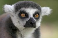 Cjp_2011_08_02_130824 (1).jpg